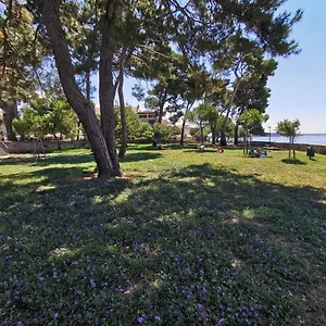 Nina Deluxe Superior 5 Star Apartment, Your Piece Of Heaven By The Sea & Park Novigrad Istria